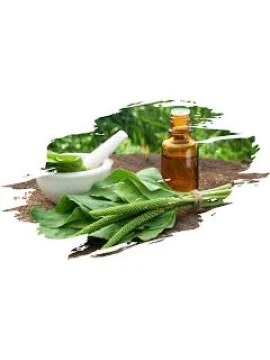 Sinirotu Yağı (250 ml)
